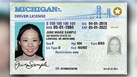 Your eight (8) digit Driver&39;s License Number (DLN) or Photo Identification Card Number (IDN) is located on your Driver&39;s License, Photo Identification Card, Learner&39;s Permit and on most correspondences from PennDOT. . How many numbers are in a drivers license number
